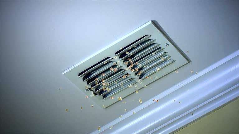 Best Affordable Duct Cleaning Services  in Maricopa, CA