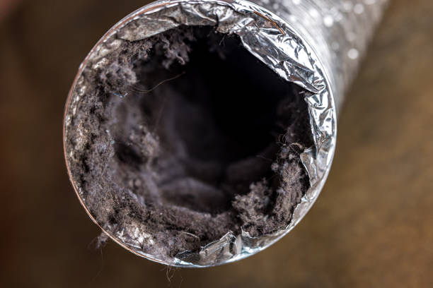 Best HVAC Maintenance and Cleaning  in Maricopa, CA